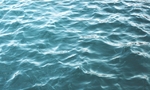 BD-00005 Ocean