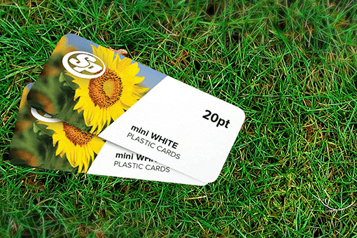 Mini White Plastic  Business Cards