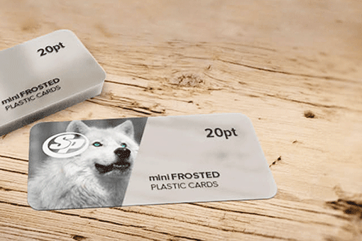 Mini Frosted Plastic  Business Cards